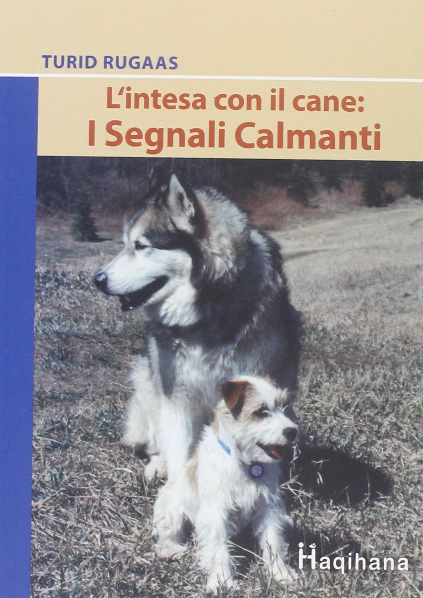 L'intesa con il cane: i segnali calmanti Pets