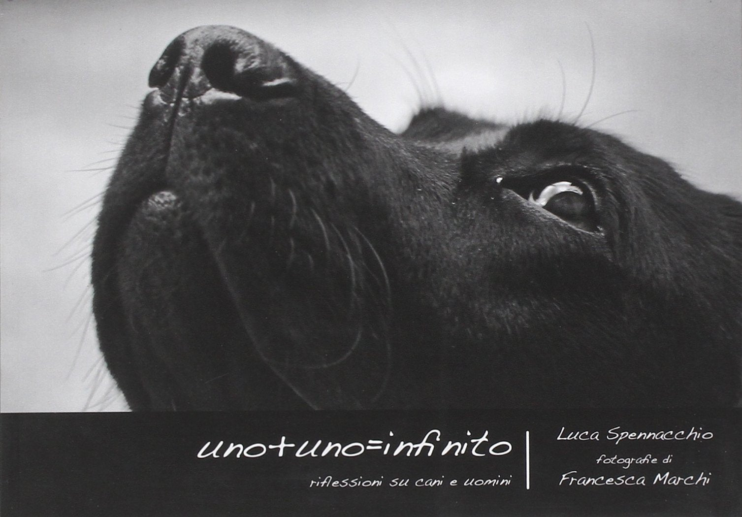 Uno+uno= infinito. Riflessioni su cani e uomini book