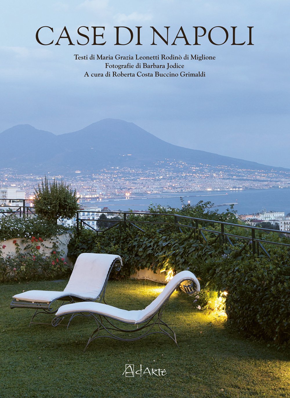 Case di Napoli. Ediz. illustrata book