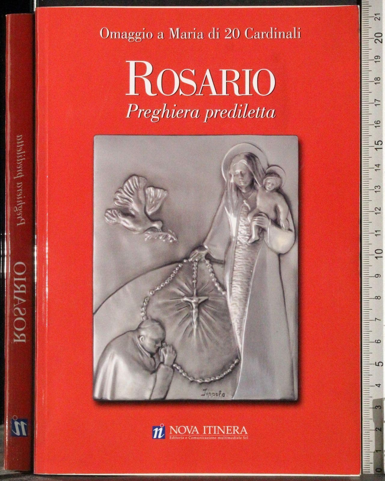 Omaggio a Maria di 20 cardinali. Rosario, preghiera prediletta book