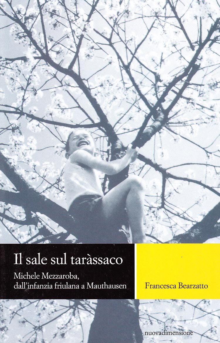 Il sale sul tarassaco. Michele Mezzaroba, dall'infanzia friulana a Mauthausen book