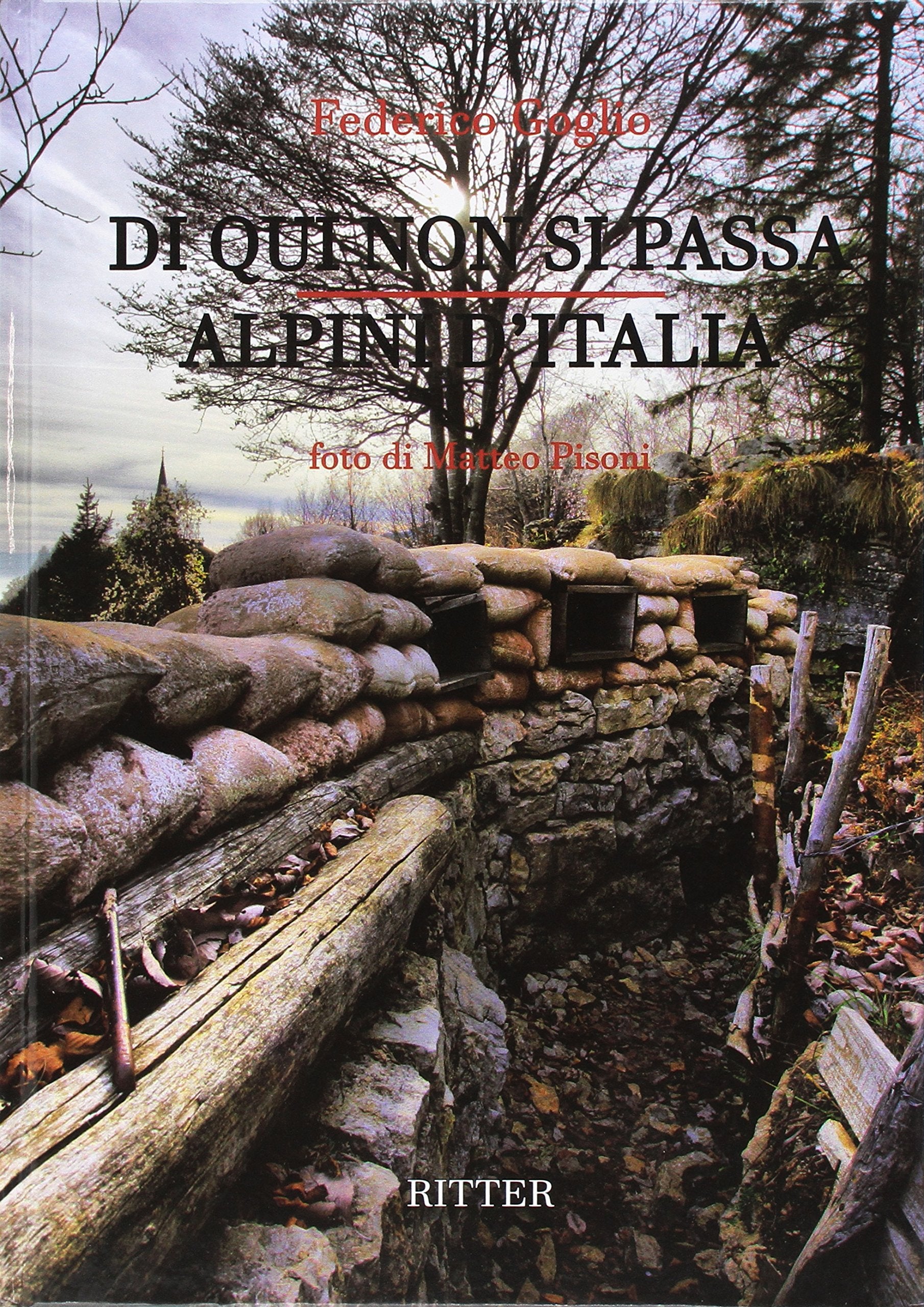 Di qui non si passa. Alpini d'Italia Social Sciences