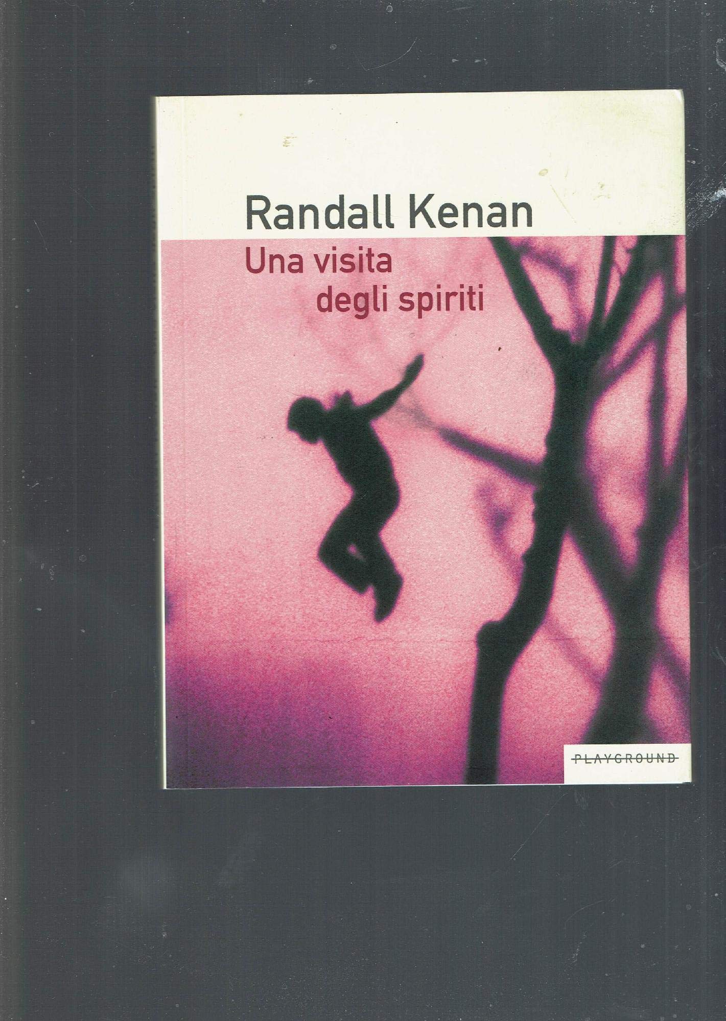 Una visita degli spiriti Contemporary literature