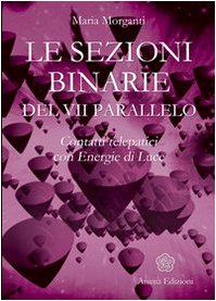 Le sezioni binarie del 7°parallelo. Contatti telepatici con energie di luce Psychology
