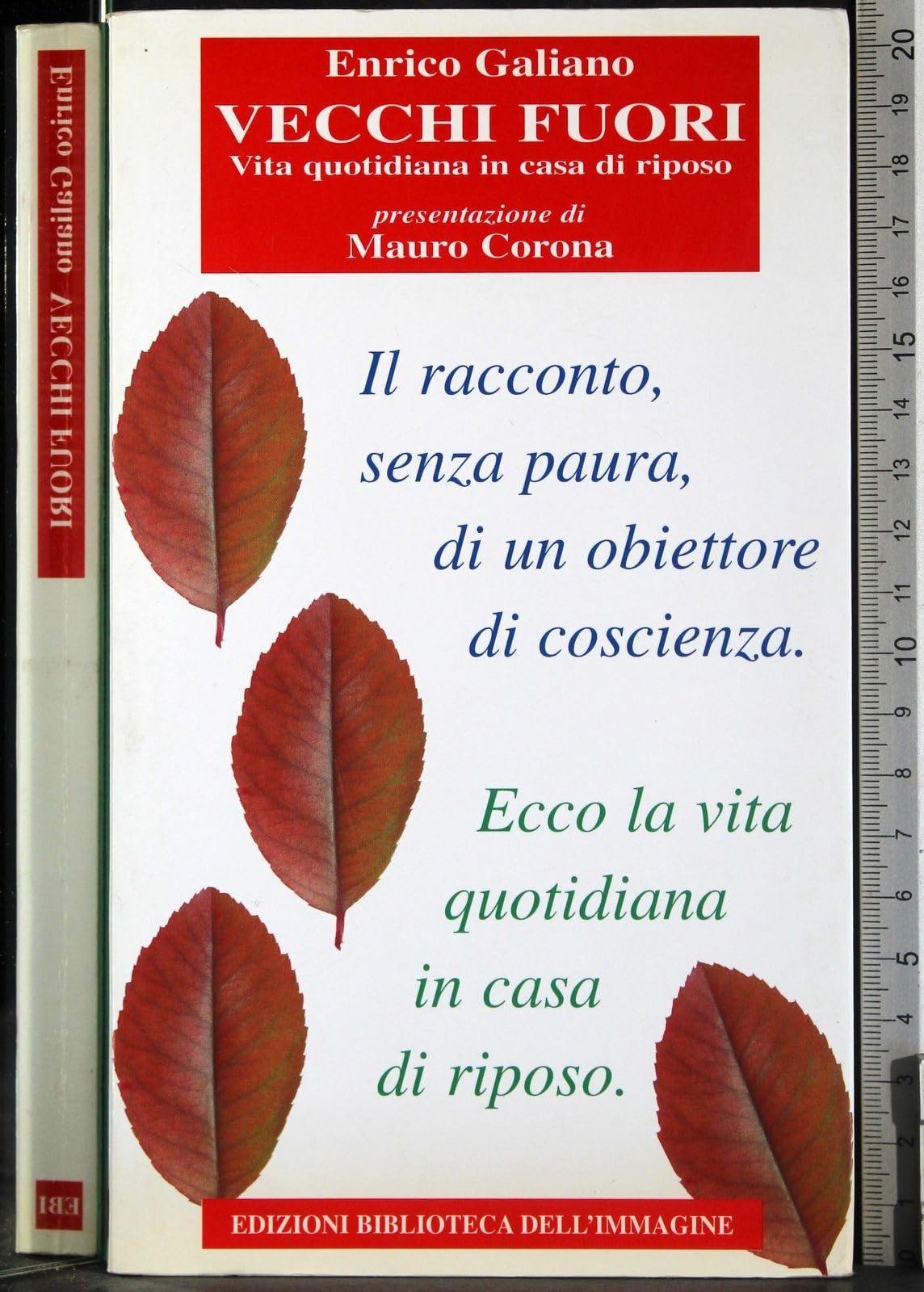 Vecchi fuori. Vita quotidiana in casa di riposo Social Sciences