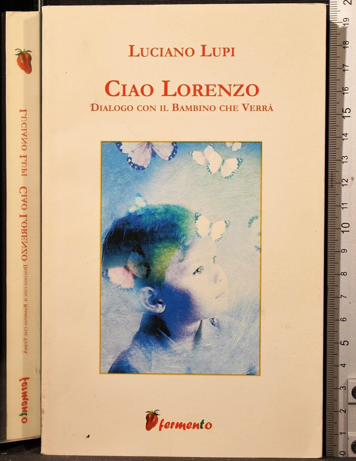 Ciao Lorenzo. Dialogo con il bambino che verrà book
