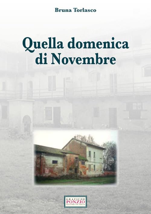 Quella domenica di novembre Contemporary literature