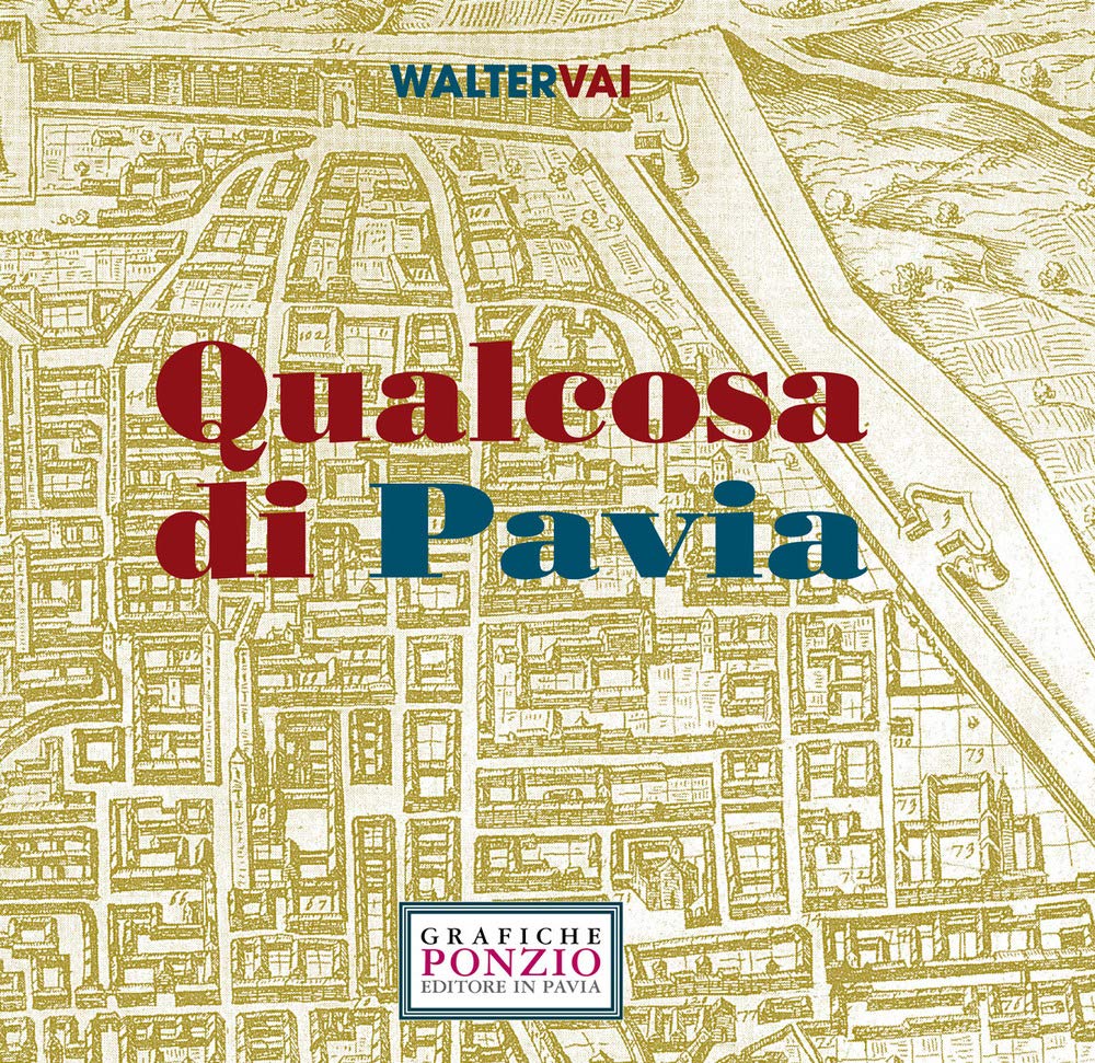 Qualcosa di Pavia. Ediz. illustrata Contemporary literature