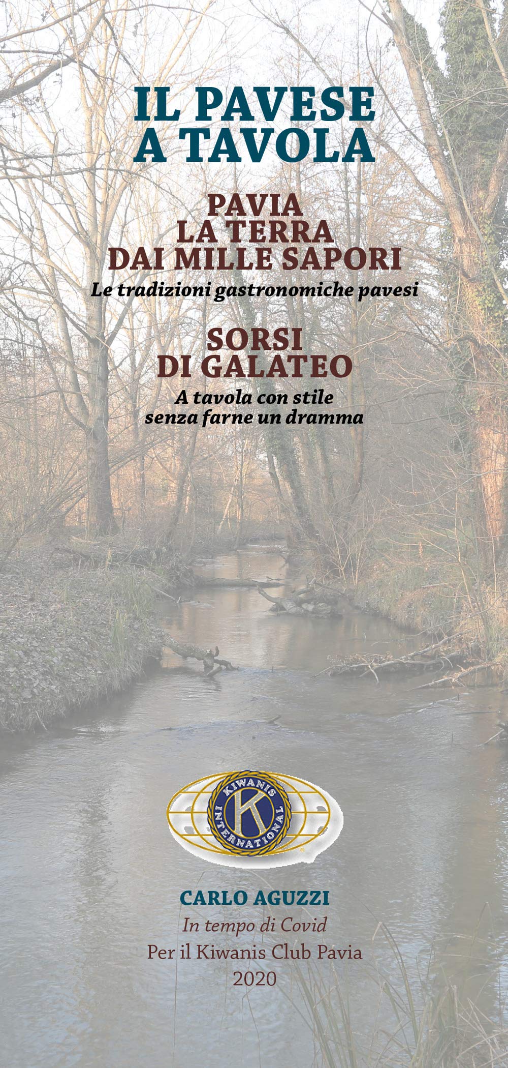 Il pavese a tavola. Pavia la terra dai mille sapori-Sorsi di galateo Leisure, Home & Garden