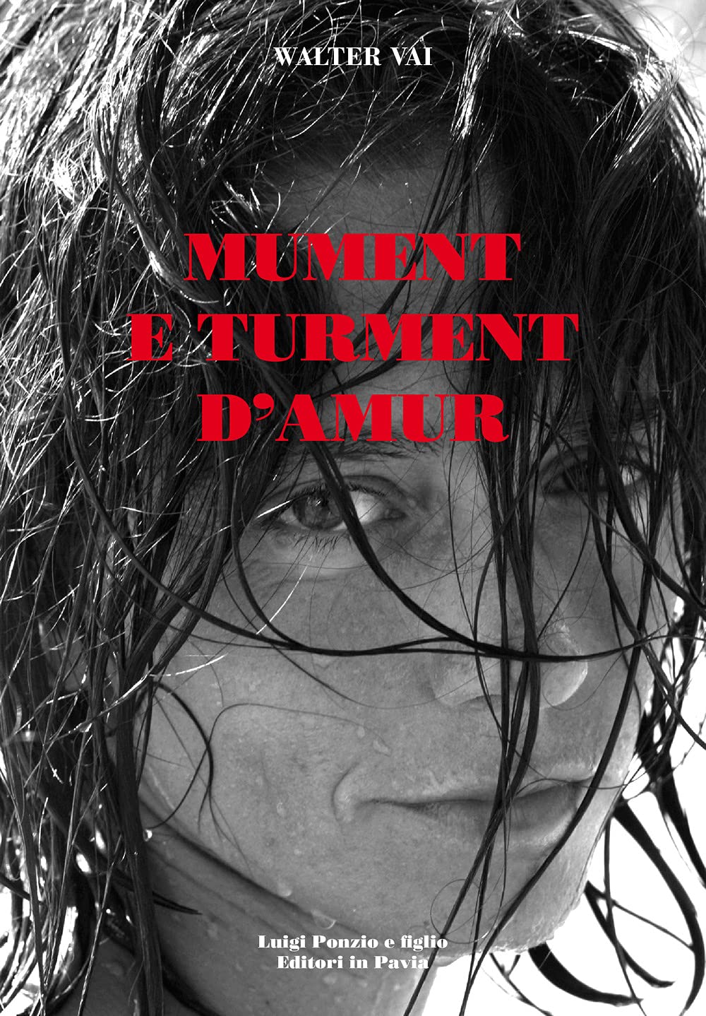 Product Image: Mument e turment d'amur
