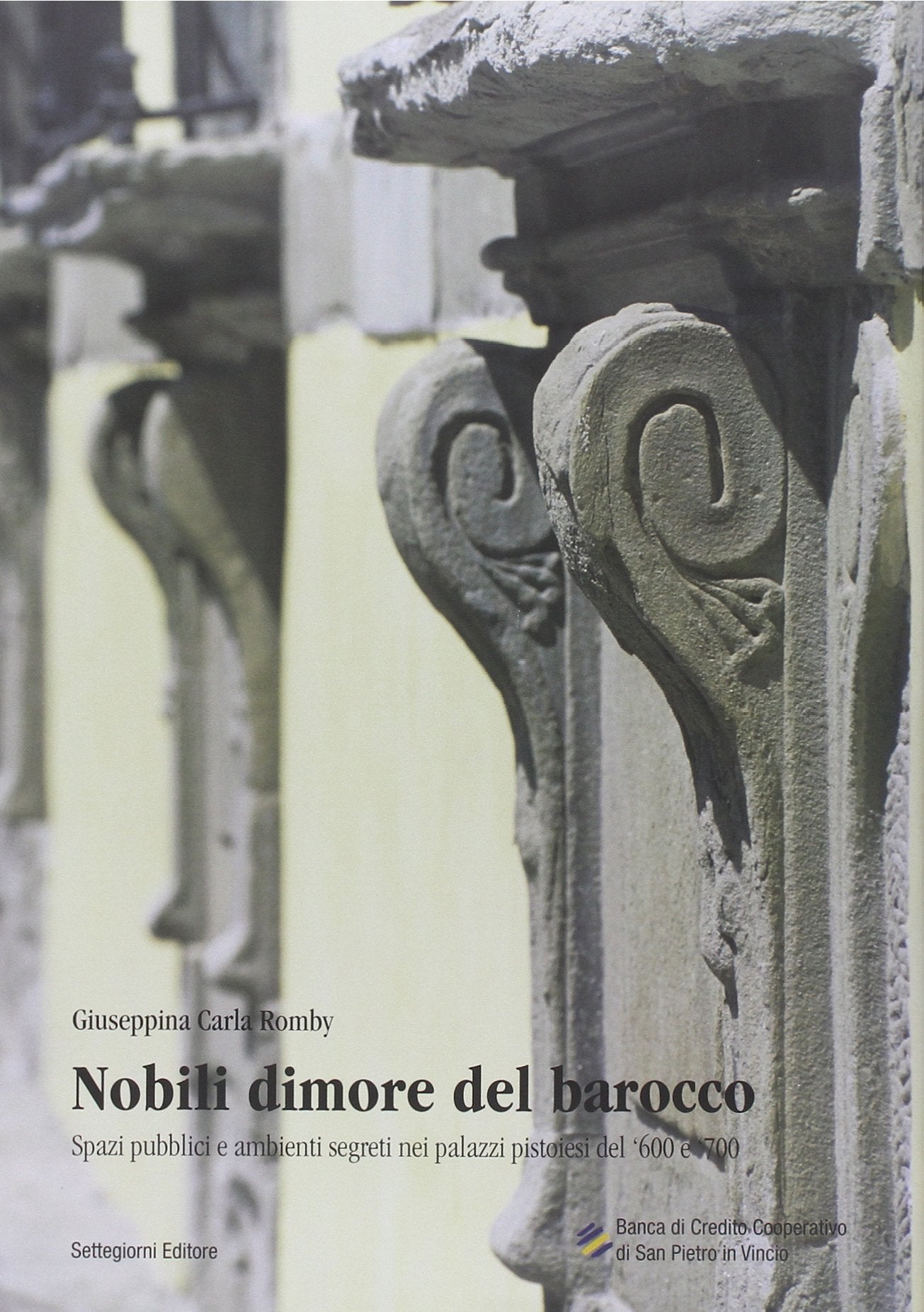 Pistoia in un mantello e in una bandiera. Storie parallele 1861-2011 book