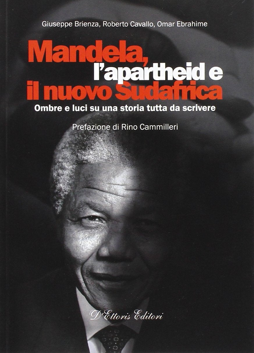 Mandela, l'apartheid e il nuovo Sudafrica. Ombre e luci su una storia tutta da scrivere book