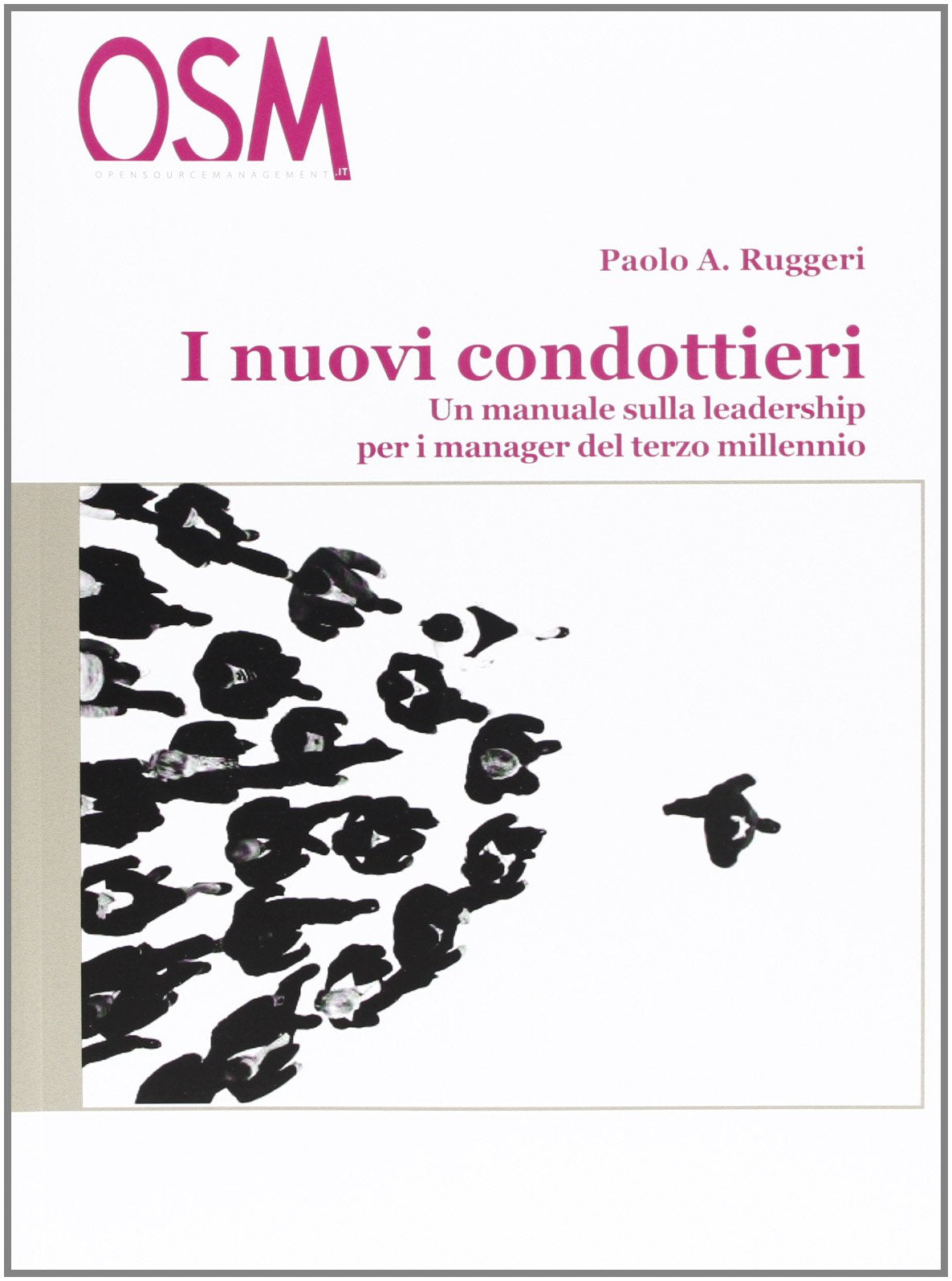 I nuovi condottieri. Un manuale sulla leadership per i manager del terzo millennio (PMI best practice) Business, Finance & Career