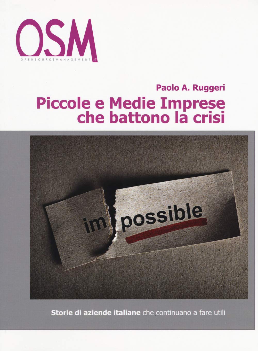 Piccole e medie imprese che battono la crisi. In tempi difficili, solo i più forti fanno utili. Storie di aziende che ce la fanno, ogni giorno, tutti i giorni book