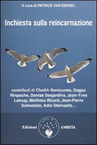 Inchiesta sulla reincarnazione book