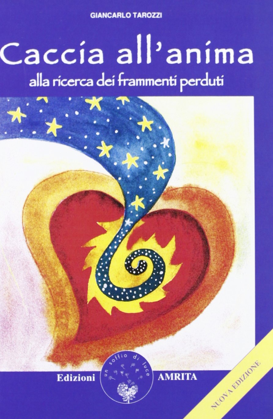 Caccia all'anima. Alla ricerca dei frammenti perduti book