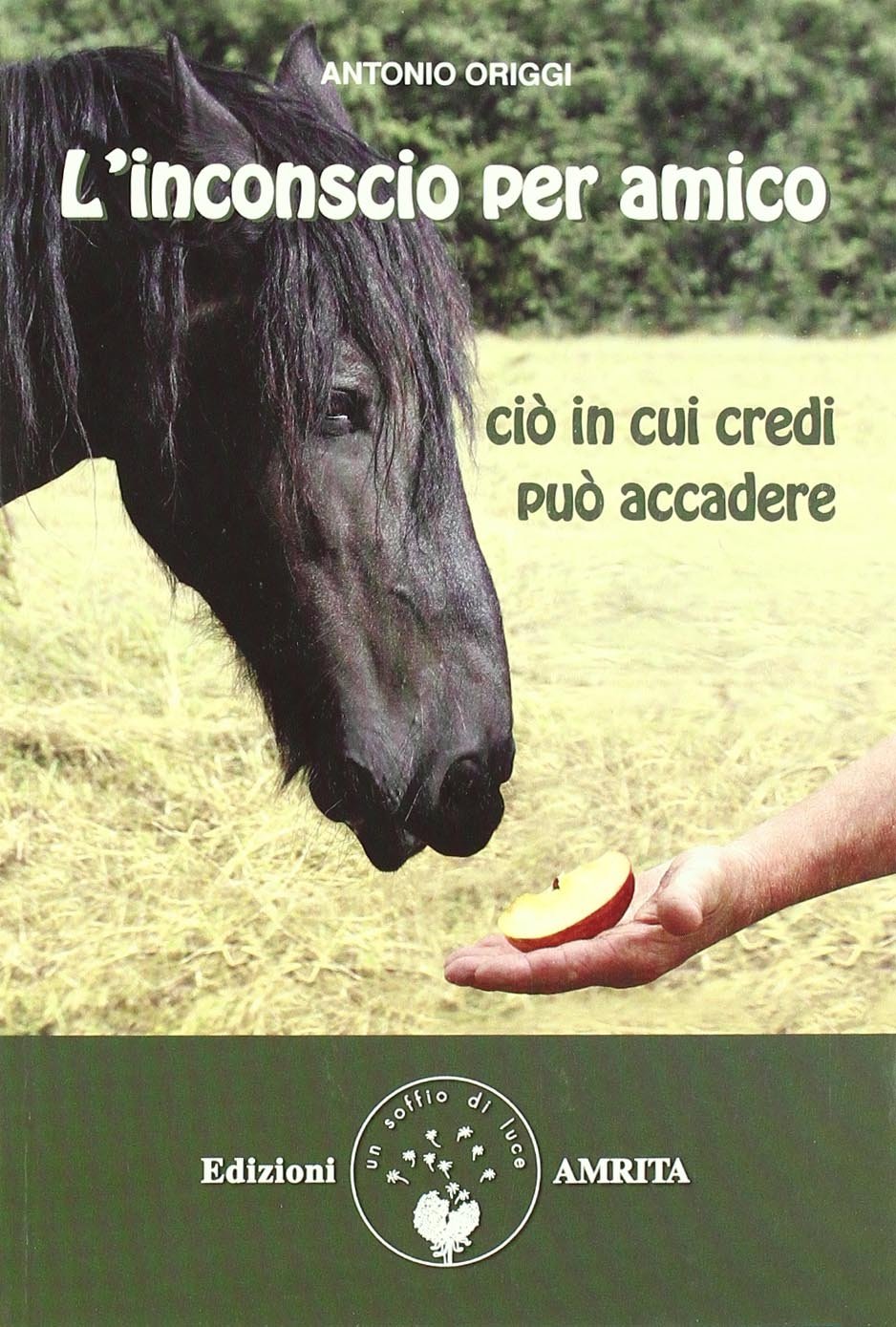 L'inconscio per amico. Ciò in cui credi può accadere book