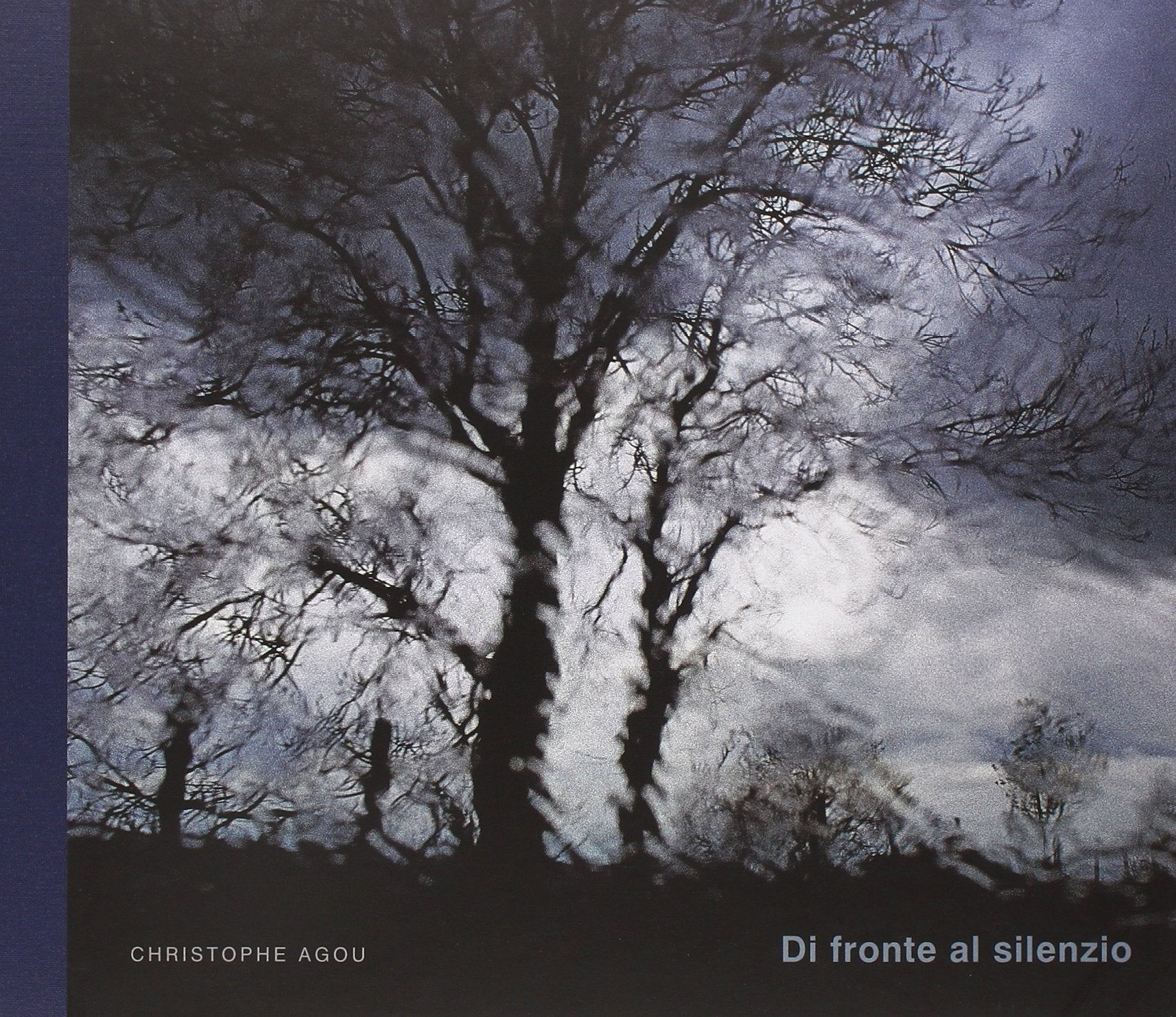 Di fronte al silenzio. Ediz. illustrata Travel