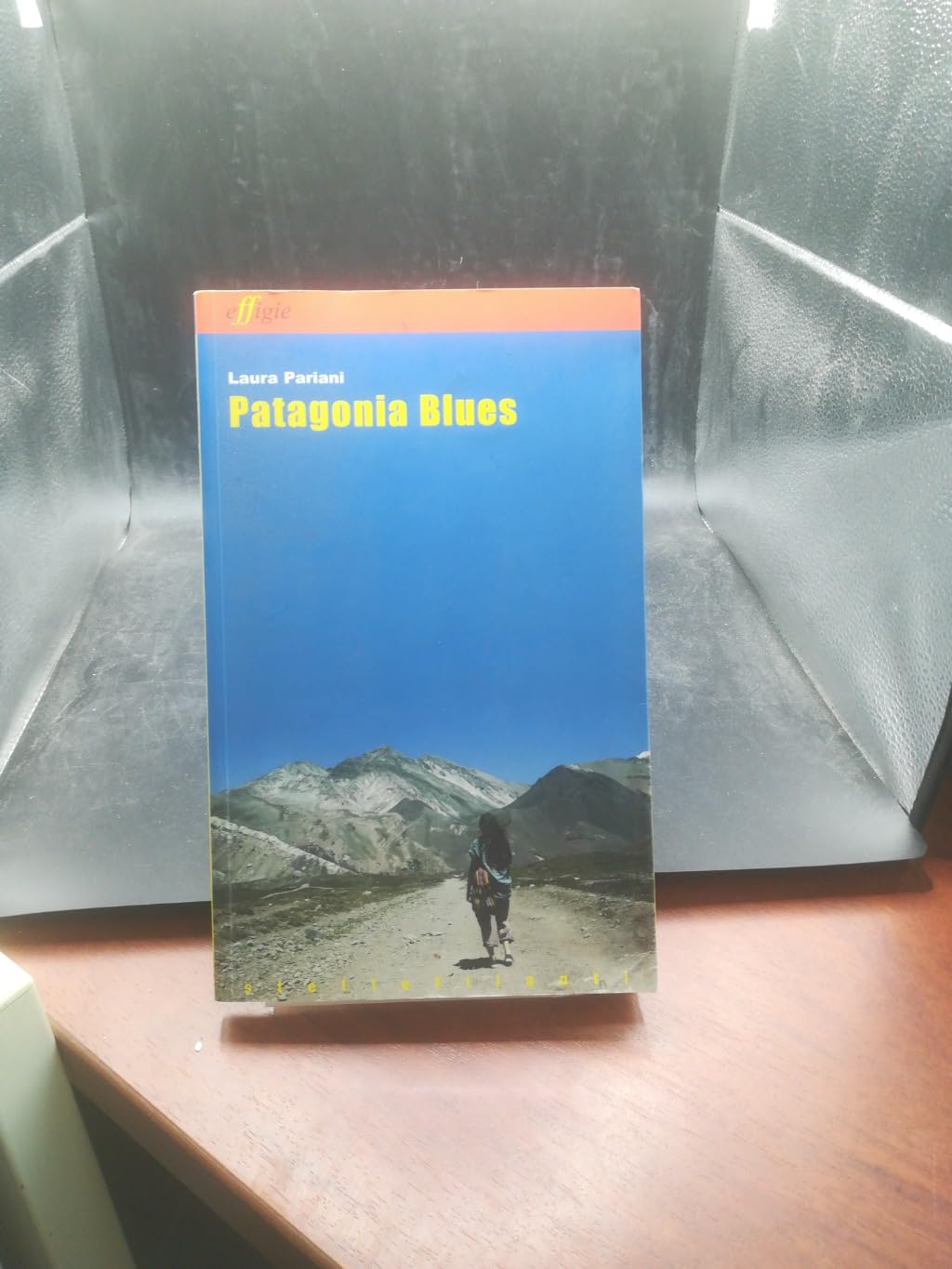 Patagonia blues (Le stellefilanti) Leisure, Home & Garden