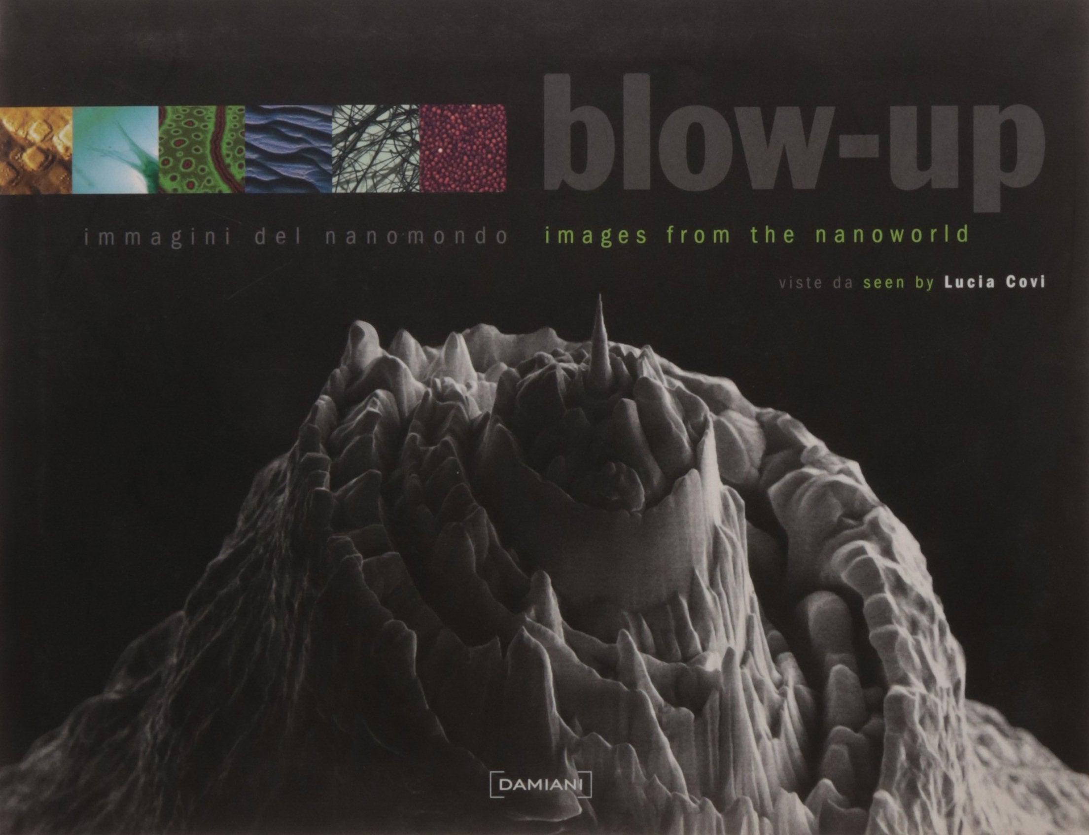 Blow-Up: Images from the Nanoworld Travel