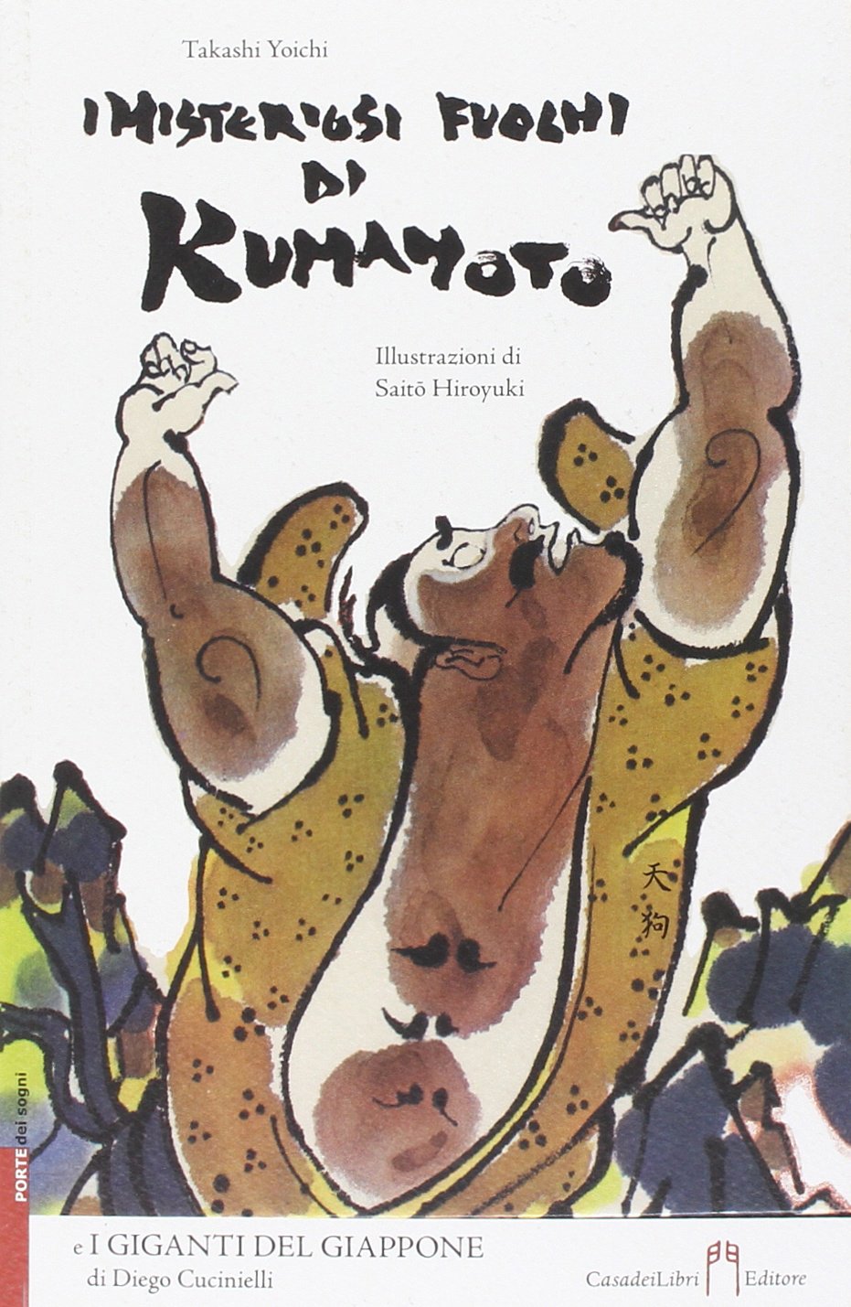 Misteriosi fuochi di Kumamoto book