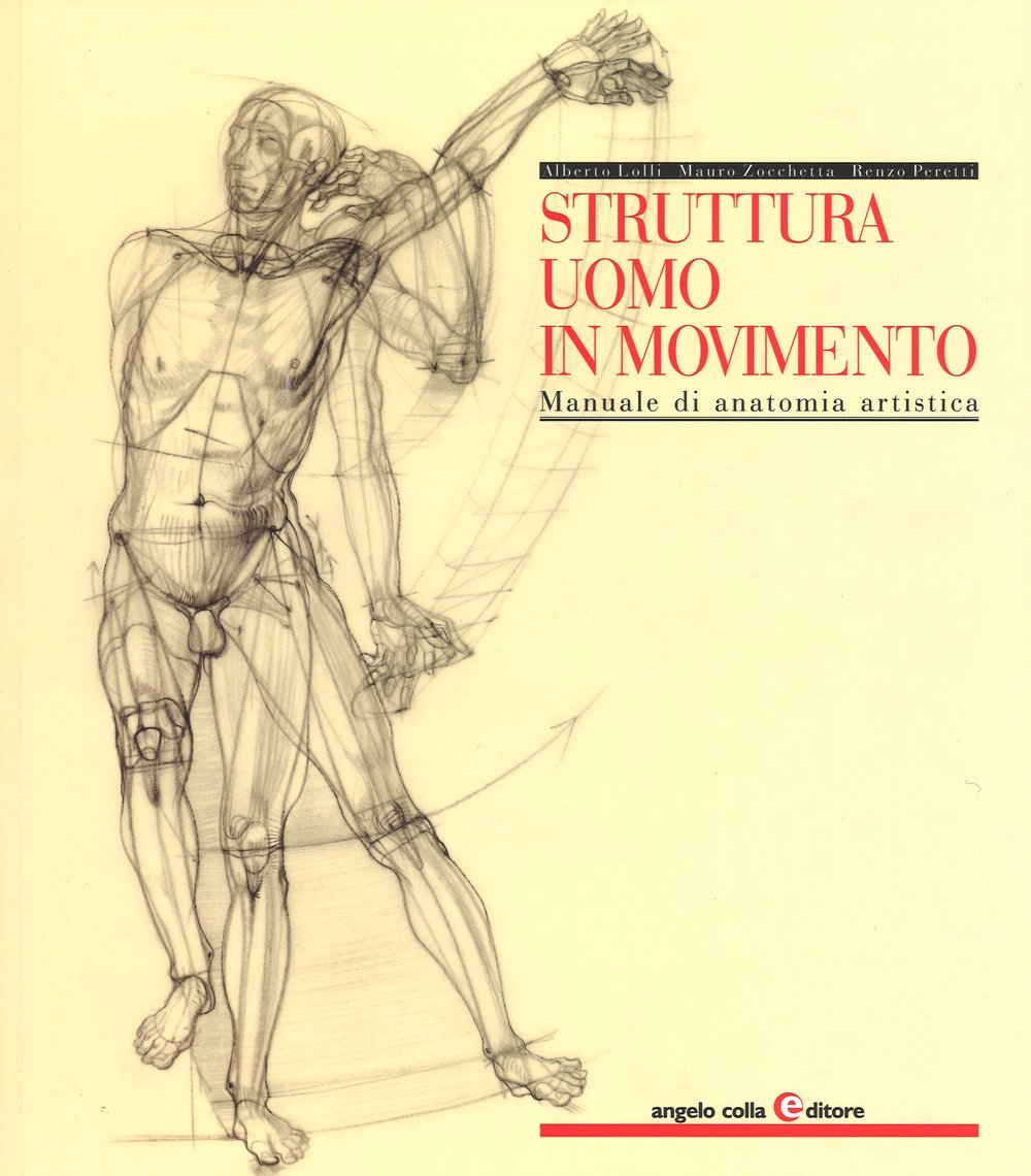 Struttura uomo in movimento. Manuale di anatomia artistica Arts & Music