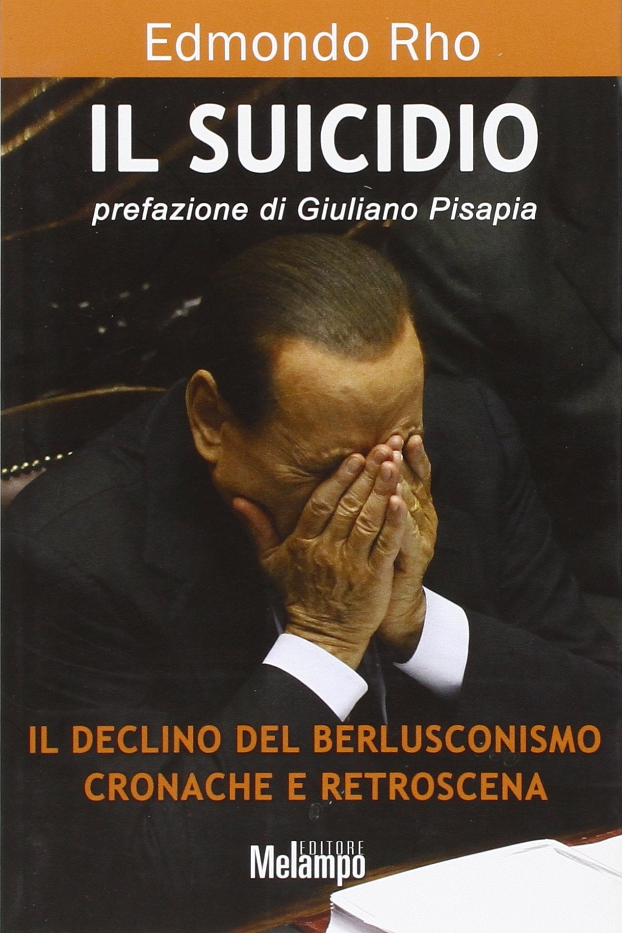 Il suicidio. Il declino del berlusconismo. Cronache e retroscena book