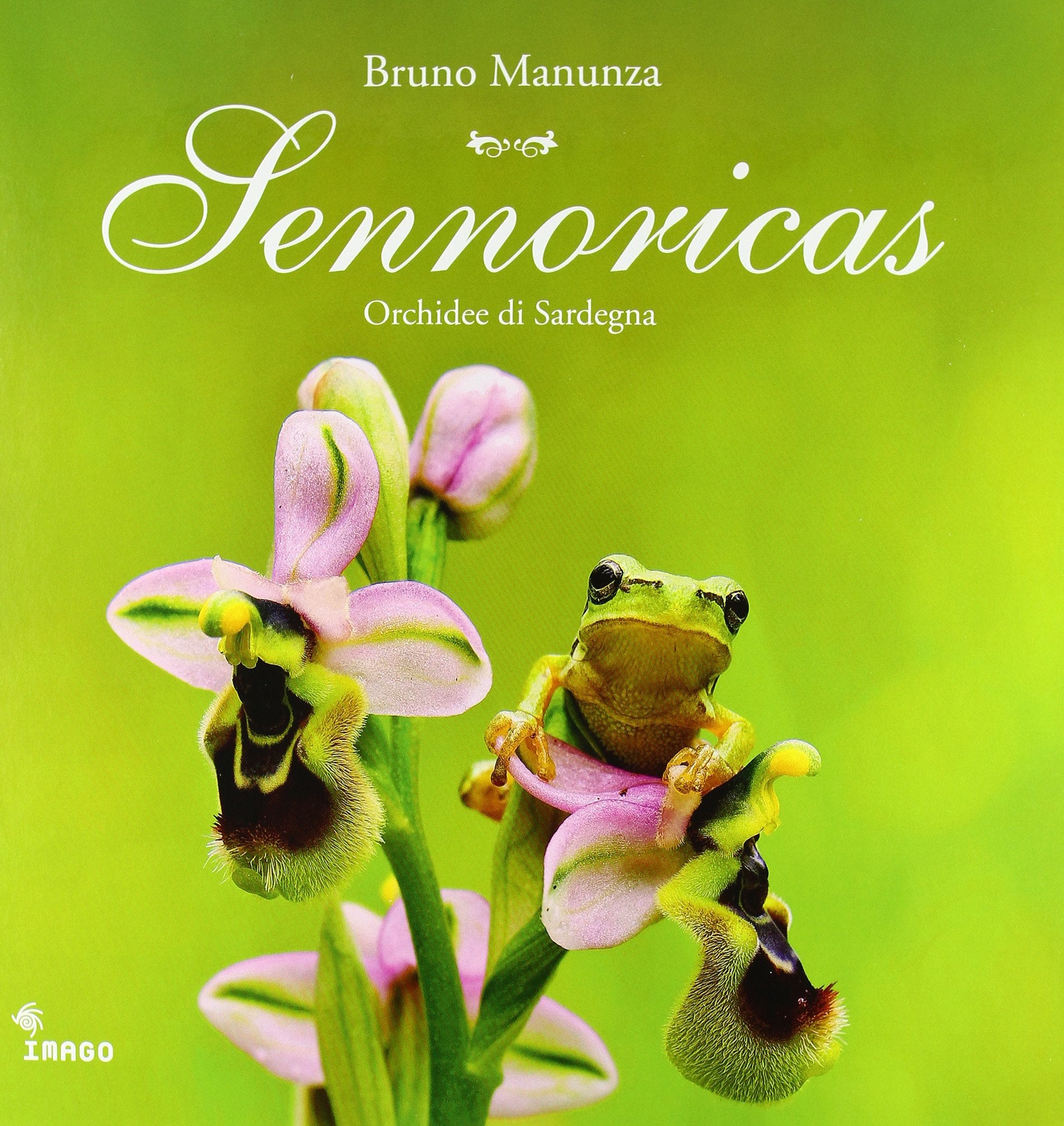 Sennoricas. Orchidee della Sardegna. Ediz. illustrata book