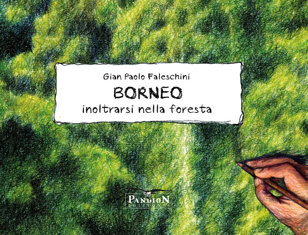 Borneo. Inoltrarsi nella foresta Leisure, Home & Garden