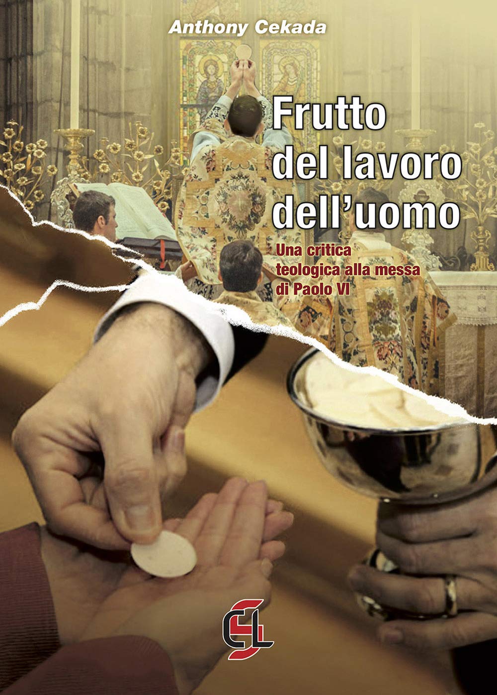 Frutto del lavoro dell'uomo. Una critica teologica alla messa di Paolo VI book