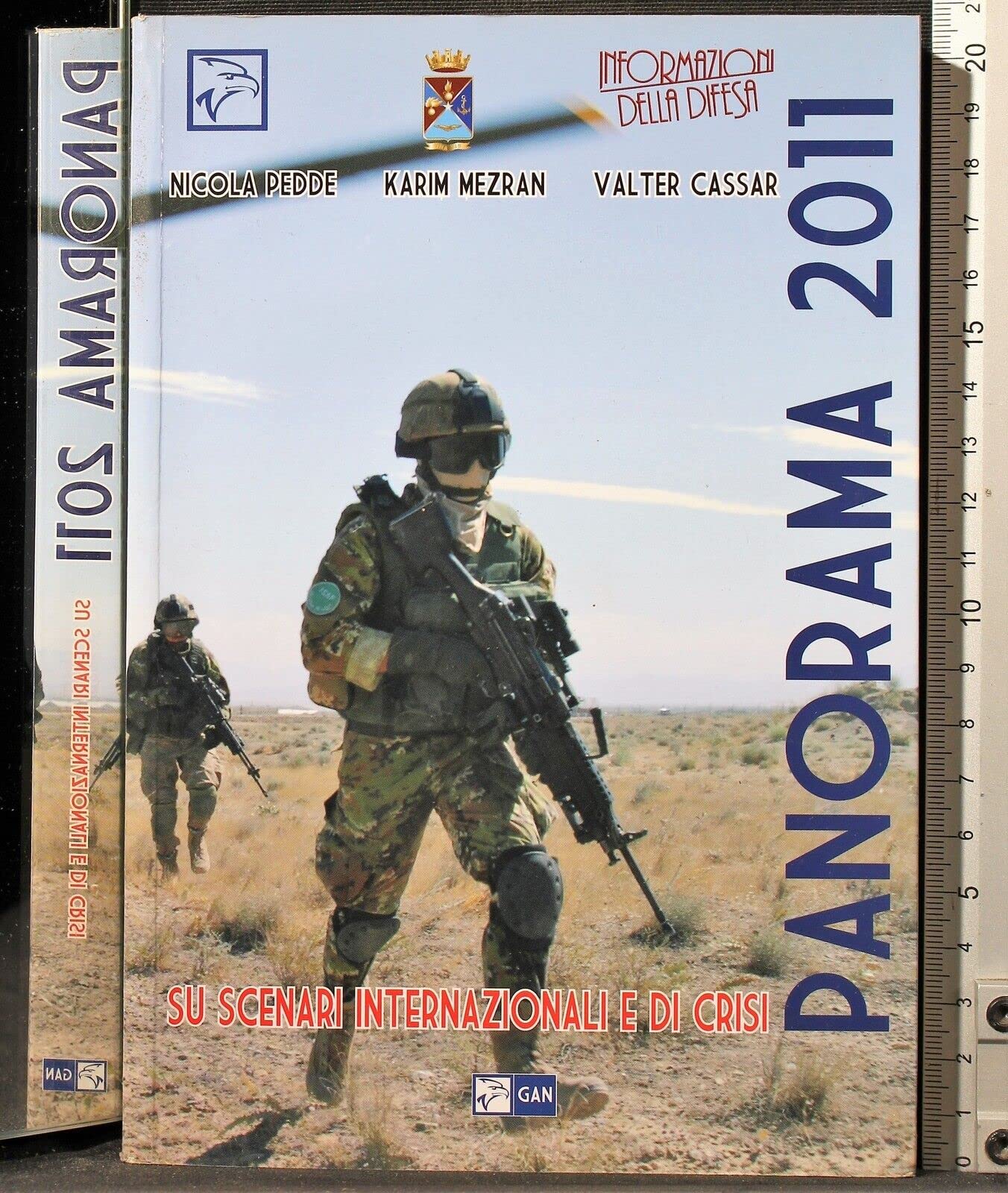 Panorama 2011. Su scenari internazionali e di crisi book