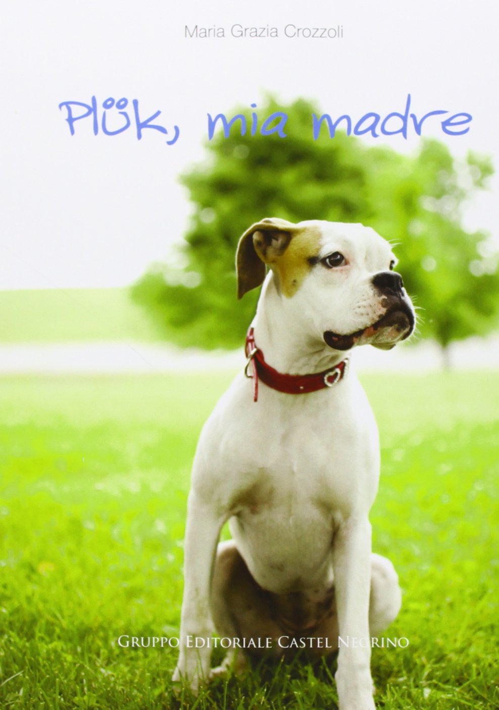 Plük, mia madre book