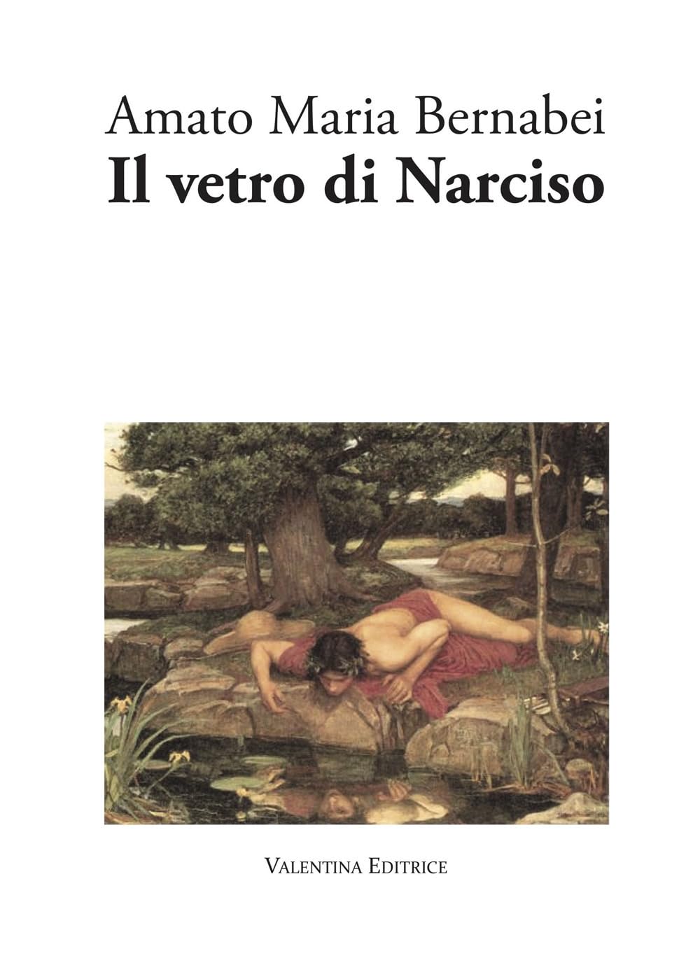 Il vetro di Narciso book