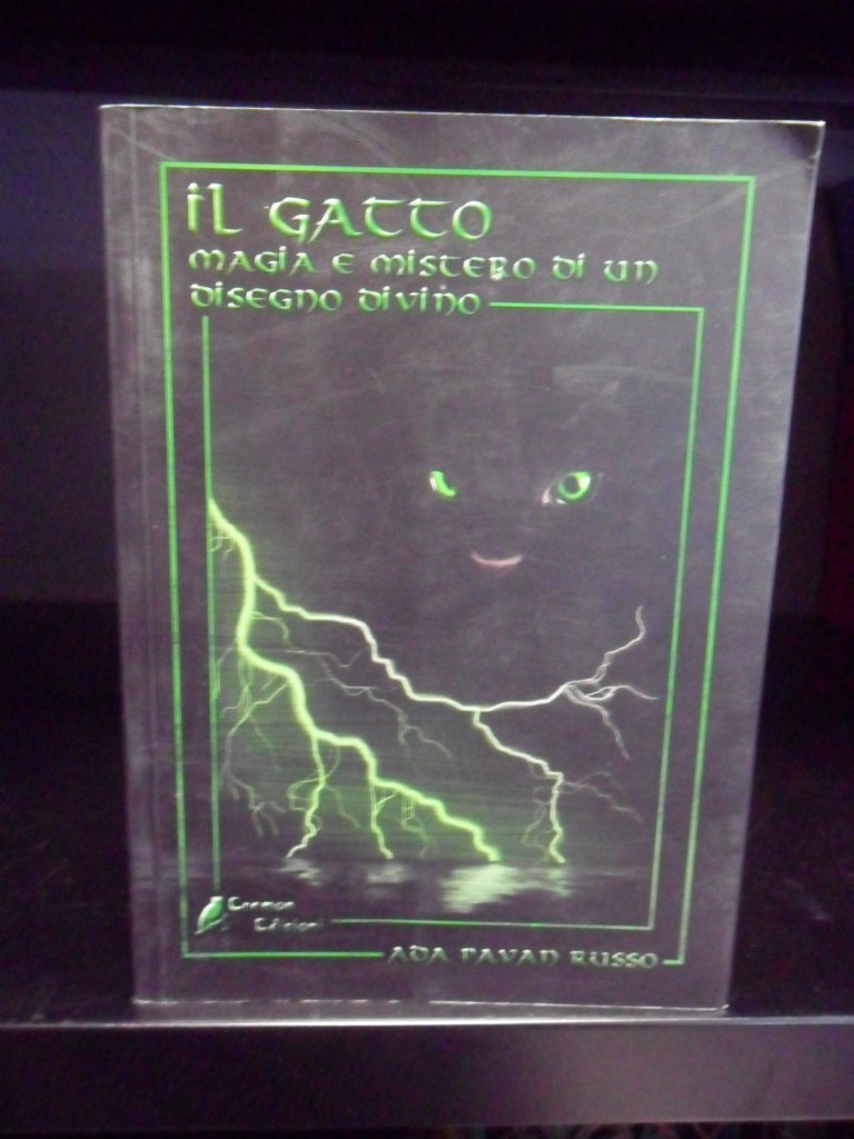 Il gatto. Magia e mistero di un disegno divino book
