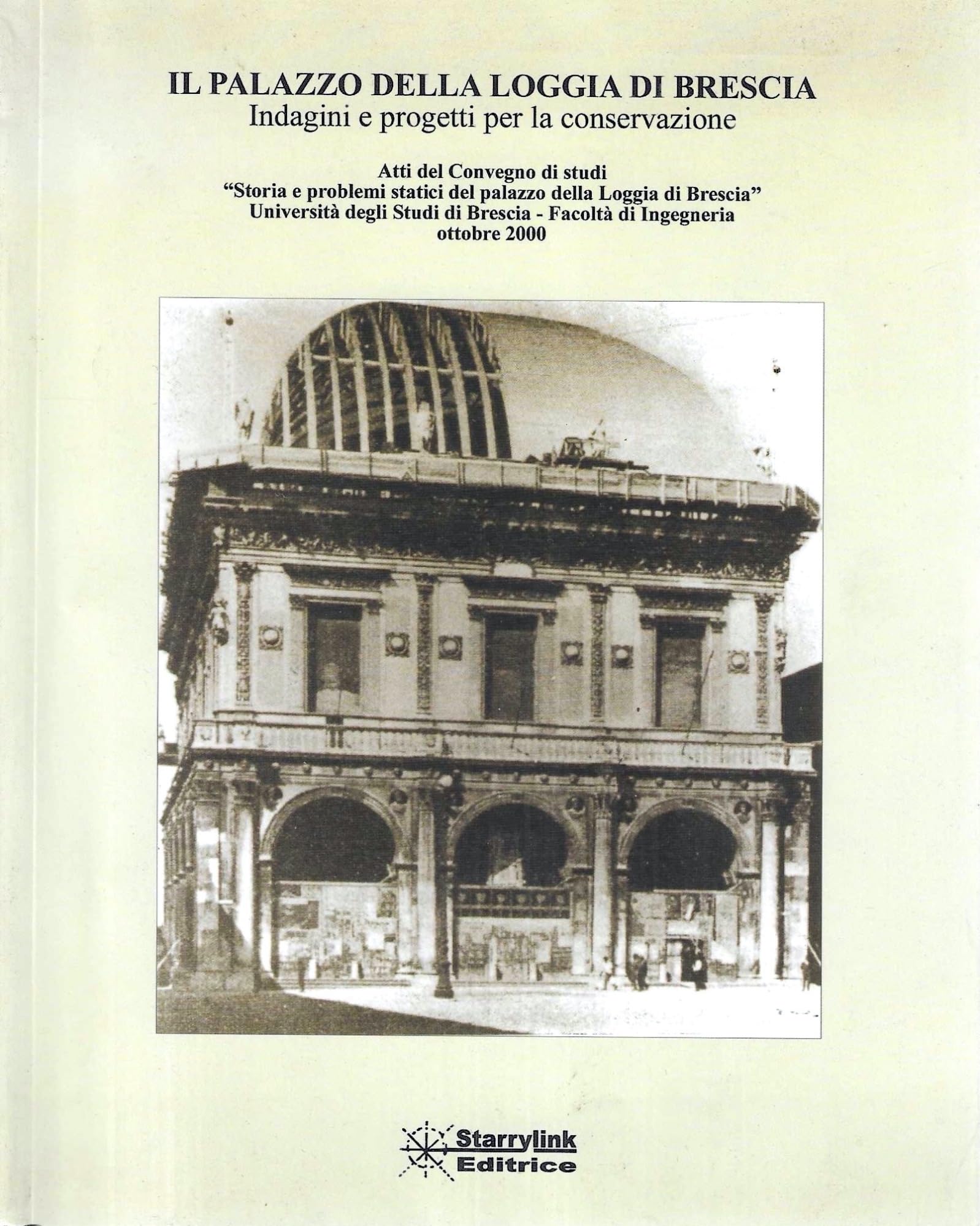 Il palazzo della Loggia di Brescia. Indagini e progetti per la conservazione book
