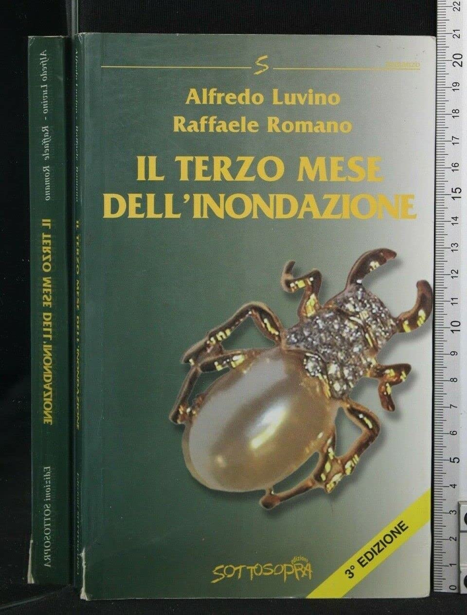 Il terzo mese dell'inondazione book