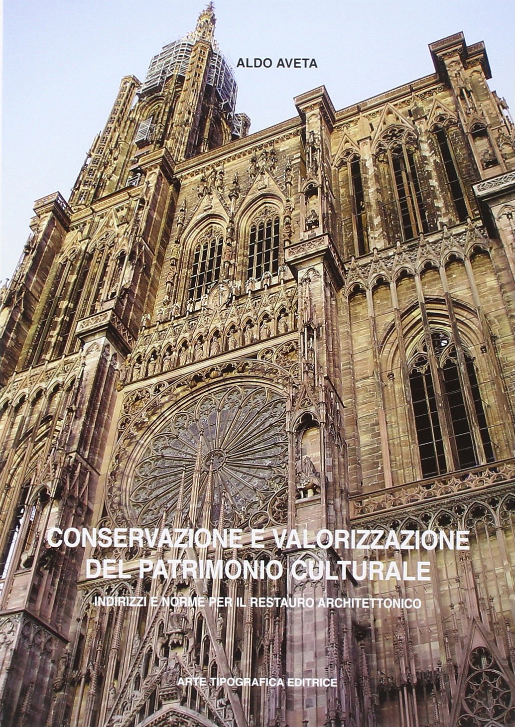 Conservazione e valorizzazione del patrimonio culturale. Indirizzi e norme per il restauro architettonico book