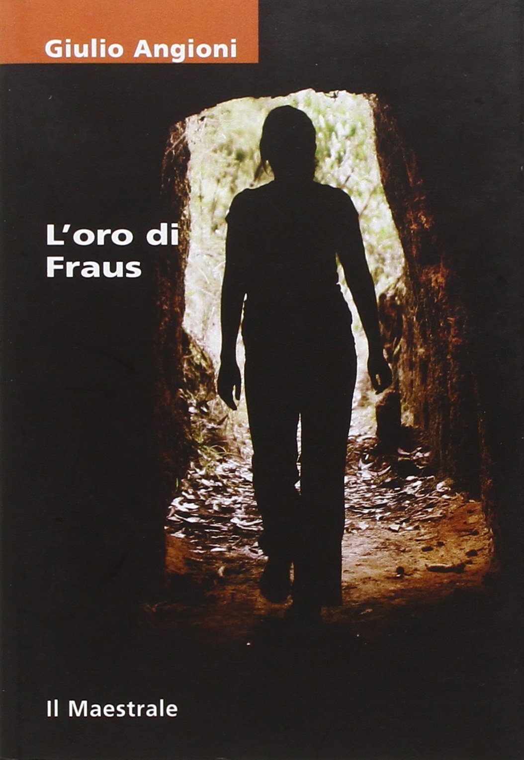 L'oro di Fraus book