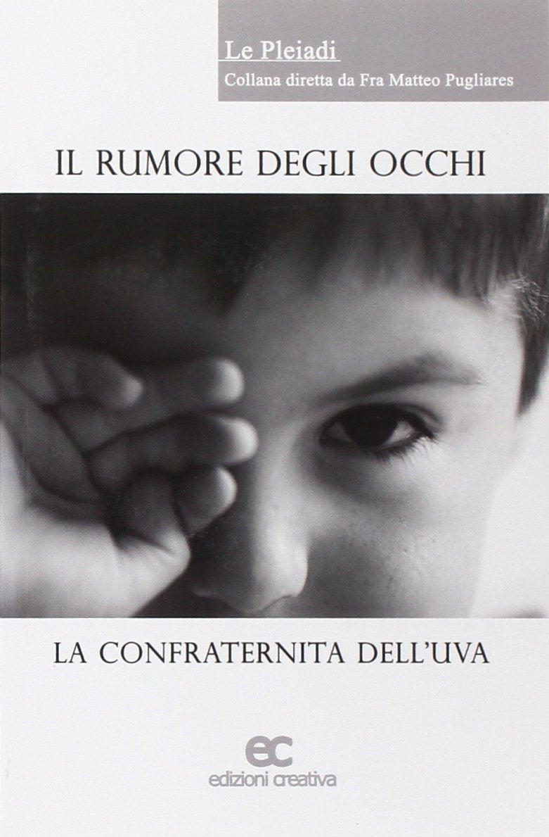 Il rumore degli occhi book
