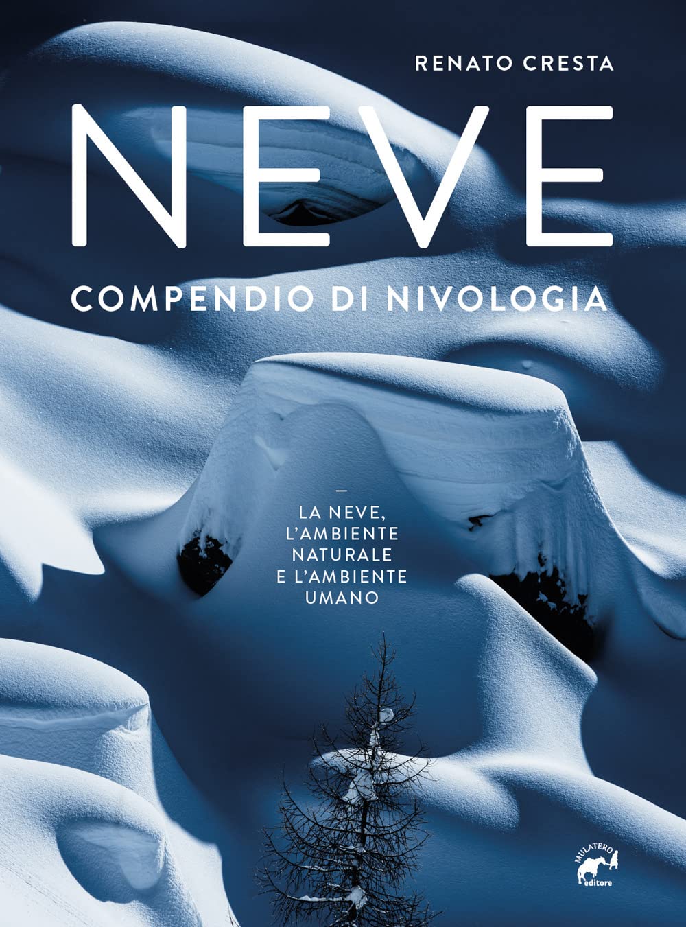 Neve. Compendio di nivologia (Specialist) Geology & Geography
