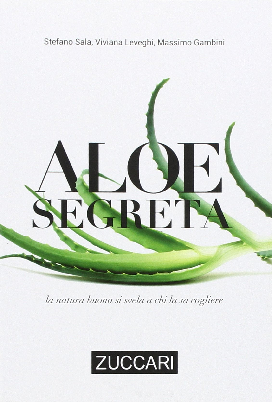 Aloe segreta. La natura buona si svela a chi la sa cogliere book