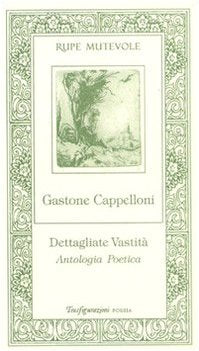 Dettagliate contraddizioni. Antologia poetica (Trasfigurazioni) Poetry