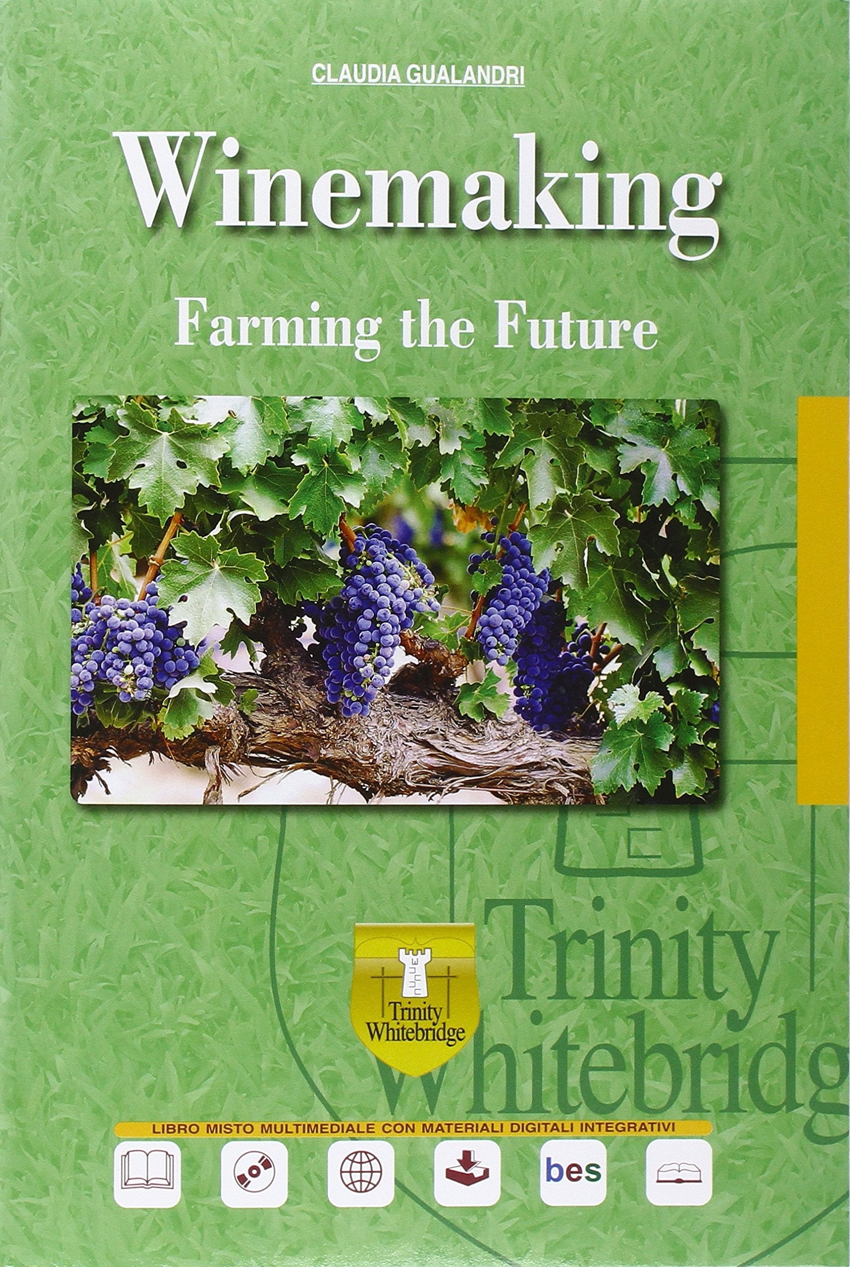 Winemaking. Per gli Ist. tecnici e professionali. Con CD Audio. Con e-book. Con espansione online Professional & Reference Books