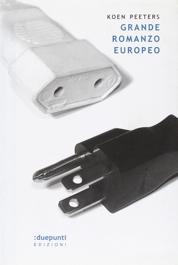 Grande romanzo europeo (Terrain vaugue) Contemporary literature