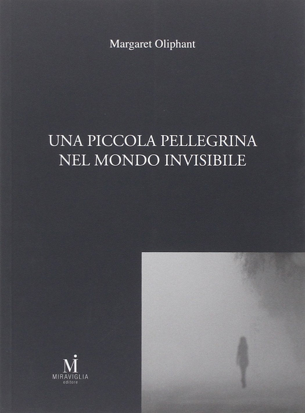 Una piccola pellegrina nel mondo invisibile (Lo specchio opaco) Contemporary literature