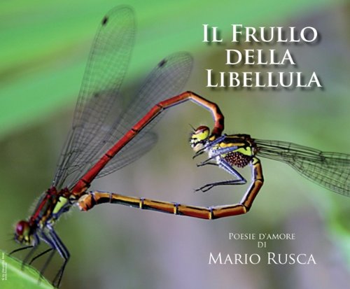 Mario Rusca presenta: Il Frullo della Libellula "Videopoesie" Libro con DVD Video La Poesia nutre l’emozione, riscalda l’anima, pone in sintonia con la misteriosa armonia dell’Universo e, per un’unità book
