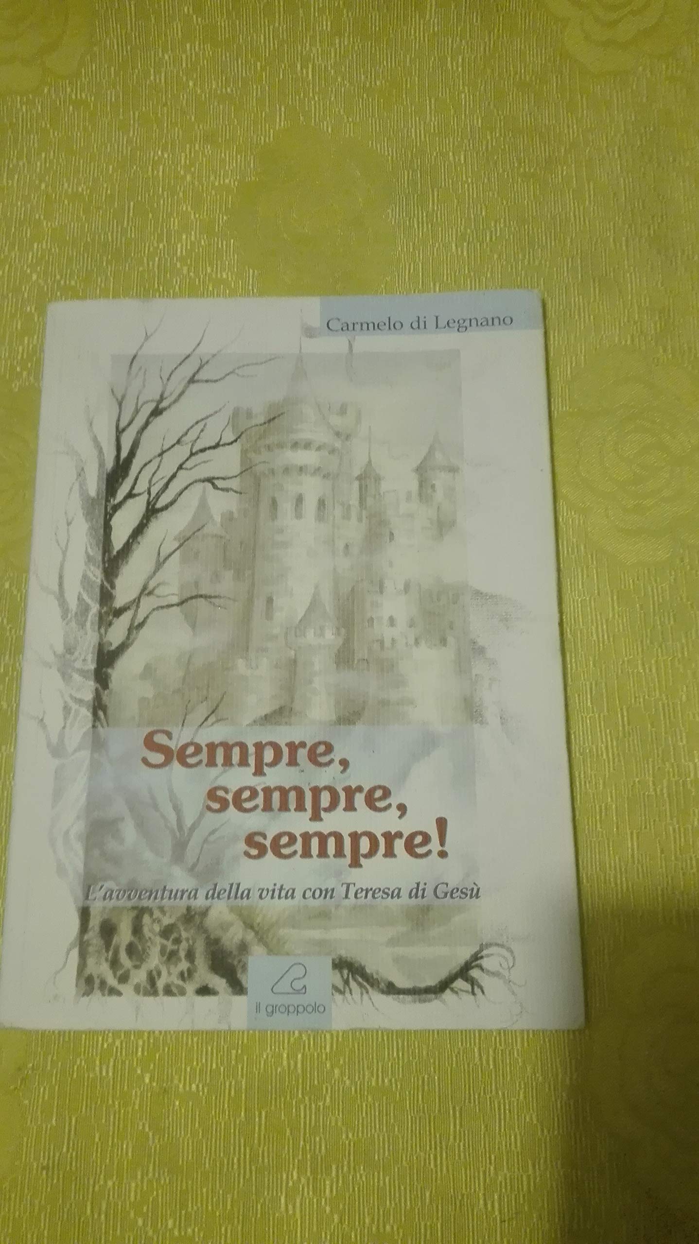 Sempre, sempre, sempre! L'avventura della vita con Teresa di Gesù book