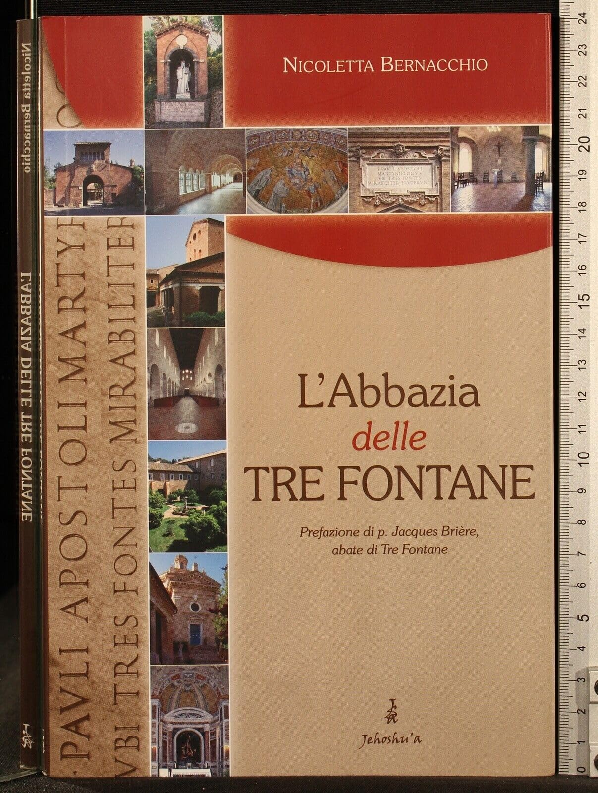 L'Abbazia delle Tre Fontane book