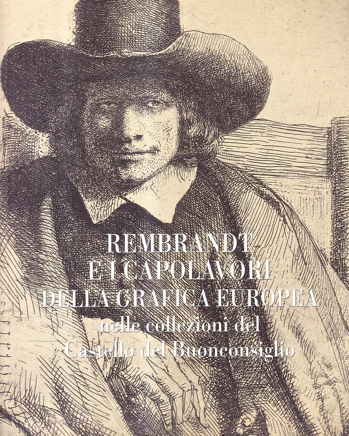 Rembrandt e i capolavori della grafica europea nelle collezioni del castello del Buonconsiglio. Ediz. illustrata book
