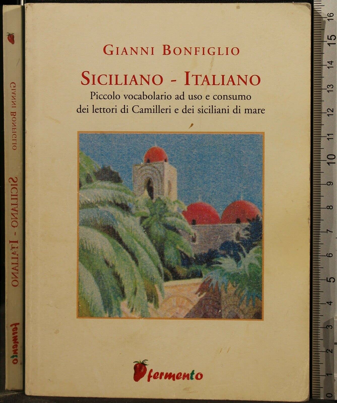 Siciliano-italiano. Piccolo vocabolario ad uso e consumo dei lettori di Camilleri e dei siciliani di mare Non-fiction books